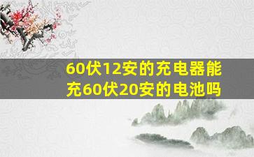 60伏12安的充电器能充60伏20安的电池吗