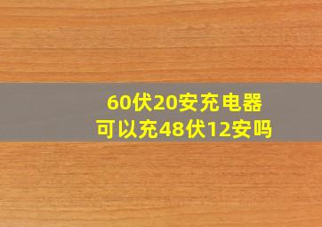 60伏20安充电器可以充48伏12安吗