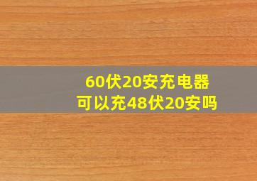 60伏20安充电器可以充48伏20安吗