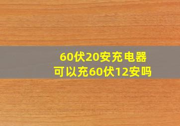 60伏20安充电器可以充60伏12安吗