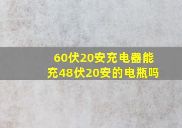 60伏20安充电器能充48伏20安的电瓶吗