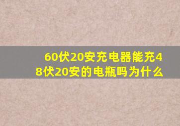 60伏20安充电器能充48伏20安的电瓶吗为什么