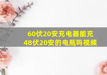 60伏20安充电器能充48伏20安的电瓶吗视频