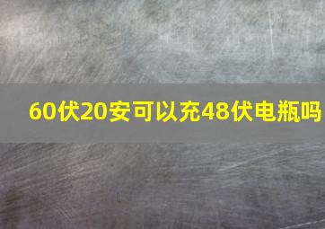 60伏20安可以充48伏电瓶吗