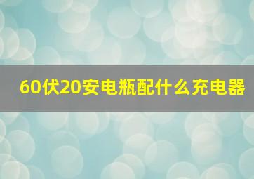 60伏20安电瓶配什么充电器