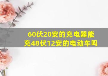 60伏20安的充电器能充48伏12安的电动车吗