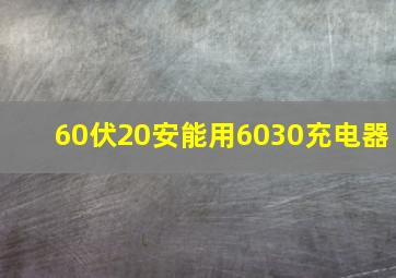 60伏20安能用6030充电器