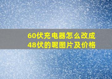 60伏充电器怎么改成48伏的呢图片及价格