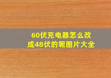 60伏充电器怎么改成48伏的呢图片大全