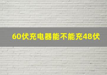 60伏充电器能不能充48伏