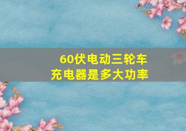 60伏电动三轮车充电器是多大功率