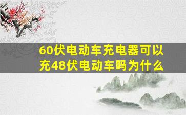 60伏电动车充电器可以充48伏电动车吗为什么