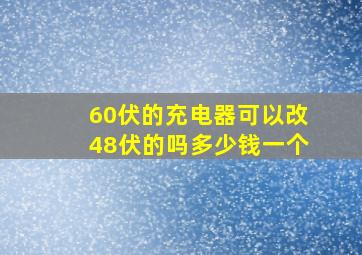 60伏的充电器可以改48伏的吗多少钱一个