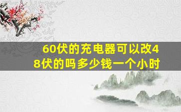 60伏的充电器可以改48伏的吗多少钱一个小时