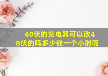 60伏的充电器可以改48伏的吗多少钱一个小时呢