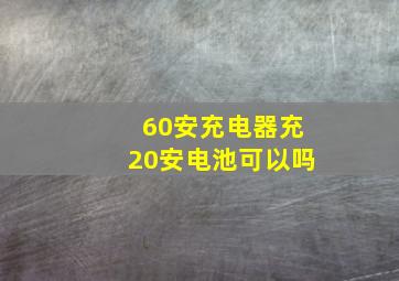 60安充电器充20安电池可以吗