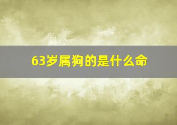 63岁属狗的是什么命