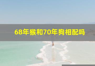 68年猴和70年狗相配吗