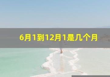 6月1到12月1是几个月