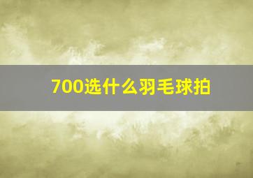 700选什么羽毛球拍