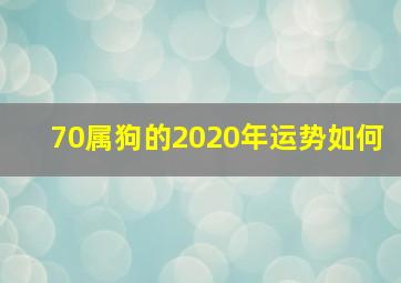 70属狗的2020年运势如何