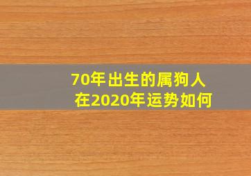 70年出生的属狗人在2020年运势如何