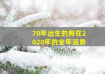 70年出生的狗在2020年的全年运势