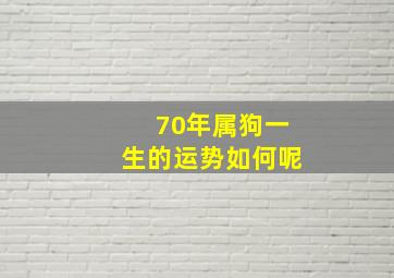 70年属狗一生的运势如何呢