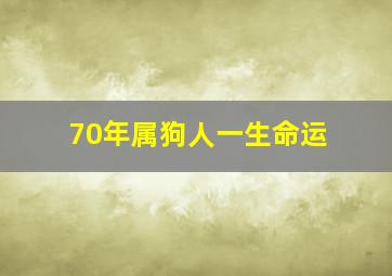 70年属狗人一生命运