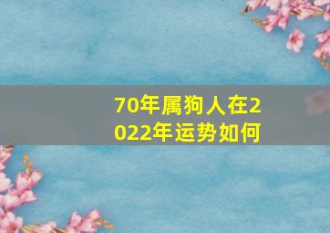 70年属狗人在2022年运势如何