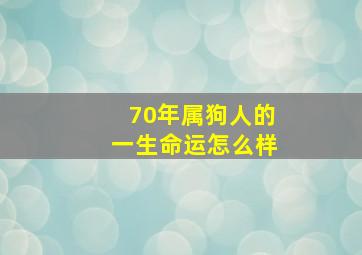 70年属狗人的一生命运怎么样