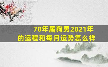 70年属狗男2021年的运程和每月运势怎么样