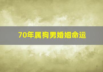 70年属狗男婚姻命运