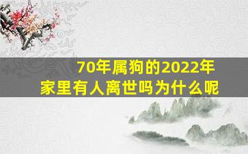 70年属狗的2022年家里有人离世吗为什么呢