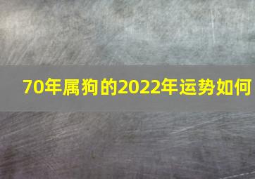 70年属狗的2022年运势如何