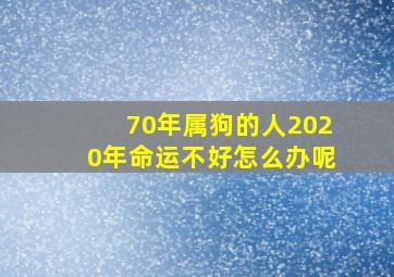 70年属狗的人2020年命运不好怎么办呢