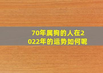 70年属狗的人在2022年的运势如何呢