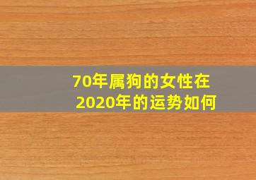 70年属狗的女性在2020年的运势如何