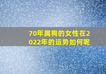 70年属狗的女性在2022年的运势如何呢