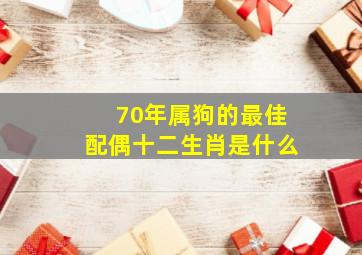 70年属狗的最佳配偶十二生肖是什么