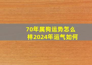 70年属狗运势怎么样2024年运气如何