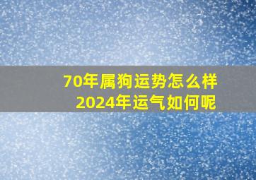 70年属狗运势怎么样2024年运气如何呢