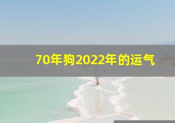 70年狗2022年的运气