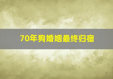 70年狗婚姻最终归宿