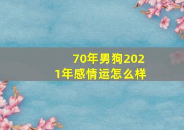 70年男狗2021年感情运怎么样