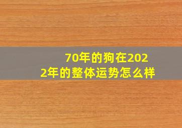 70年的狗在2022年的整体运势怎么样