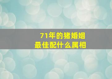 71年的猪婚姻最佳配什么属相