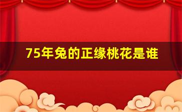 75年兔的正缘桃花是谁