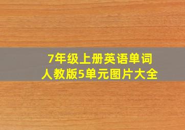 7年级上册英语单词人教版5单元图片大全