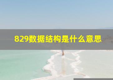 829数据结构是什么意思